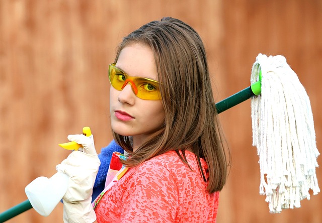 Professional Home Cleaning Services